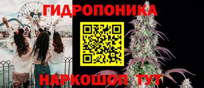 ECSTASY Донской