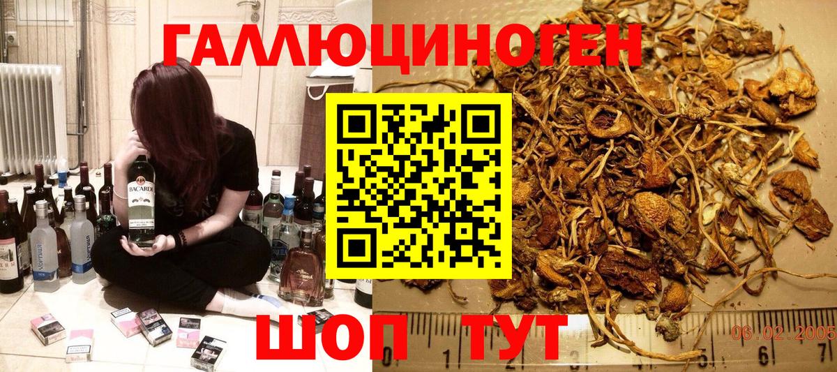 Галлюциногенные грибы Cubensis  Псилоцибиновые грибы мухоморы  Вход с VPN  Муравленко 