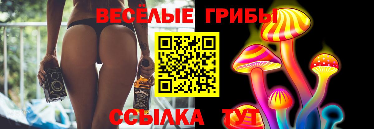 Псилоцибиновые грибы Psilocybine cubensis Муравленко
