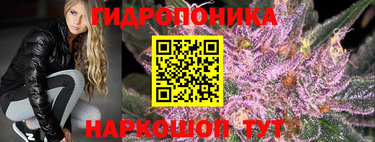 Бошки Шишки сатива  Канабис SATIVA & INDICA  Муравленко  Вход с VPN 
